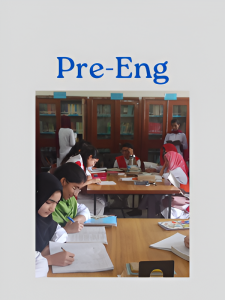 Pre-Engineering